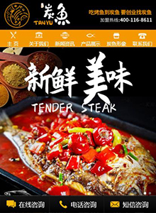 一米炭魚-營銷型手機(jī)網(wǎng)站建設(shè)案例